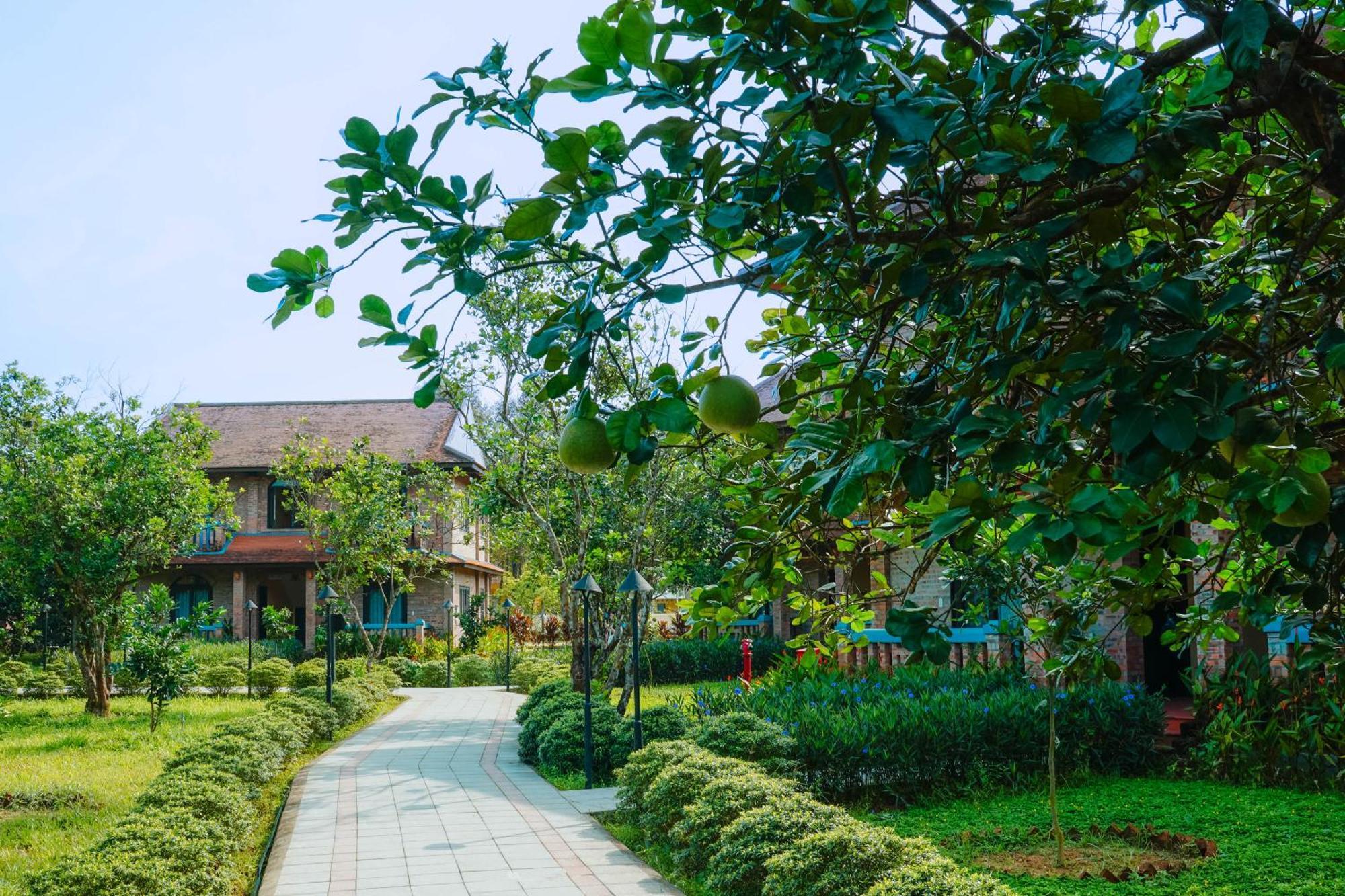 Hue Ecolodge Екстер'єр фото